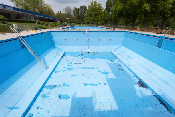 Best Professional water damage repair  in Grandview Plaza, KS