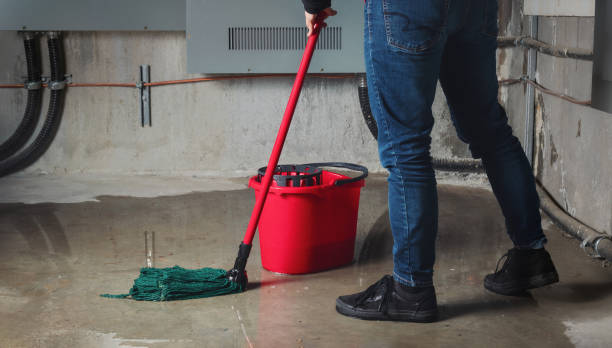 Best Residential water damage restoration  in Grandview Plaza, KS