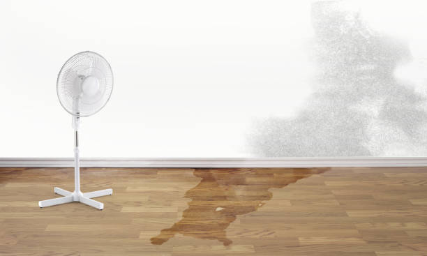 Best Water damage restoration near me  in Grandview Plaza, KS