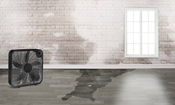 Best 24-hour water damage restoration  in Grandview Plaza, KS
