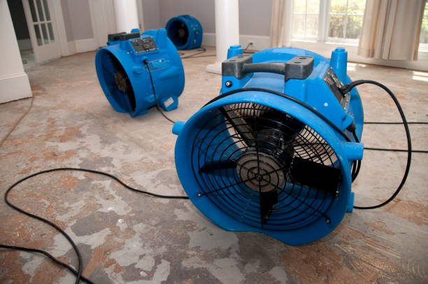 Best Water damage restoration near me  in Grandview Plaza, KS