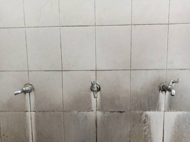 Best 24-hour water damage restoration  in Grandview Plaza, KS