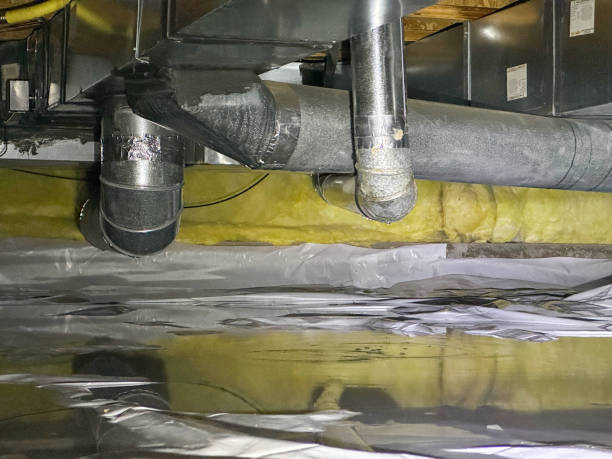 Best Carpet water damage restoration  in Grandview Plaza, KS